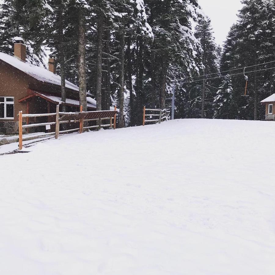 Elifim Resort Hotel Bolu Exterior foto