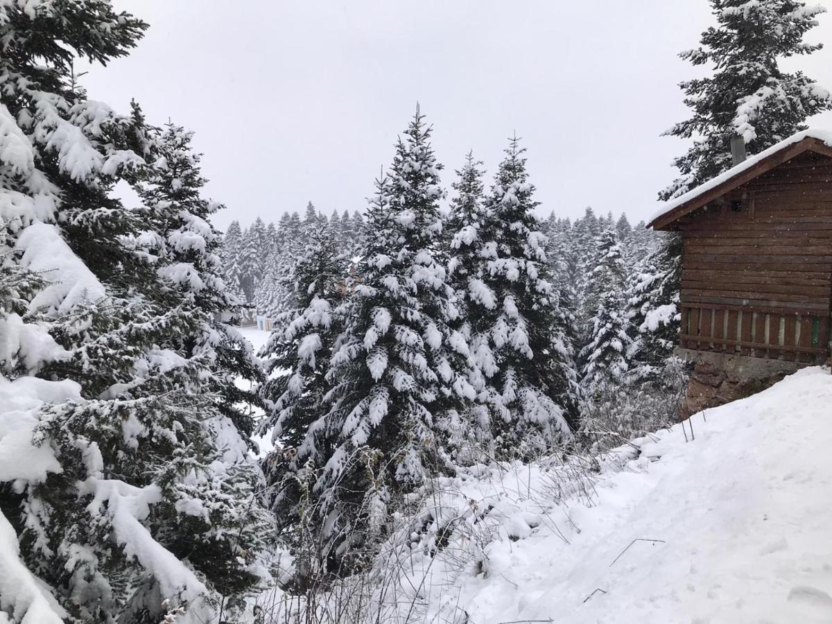 Elifim Resort Hotel Bolu Exterior foto